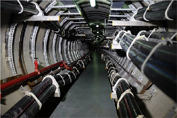 1756534531437829.jpg 02.jpg